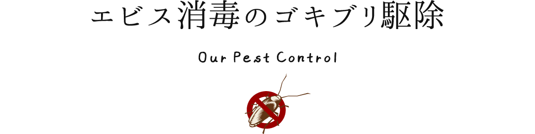 千葉 東京 川崎 横浜でゴキブリ駆除 害虫駆除のエビス消毒